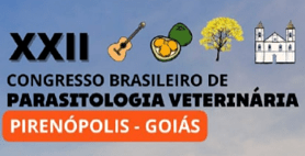imagem noticia